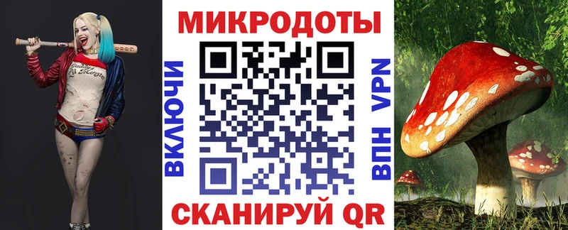 где купить наркотик  Бородино  Галлюциногенные грибы GOLDEN TEACHER 