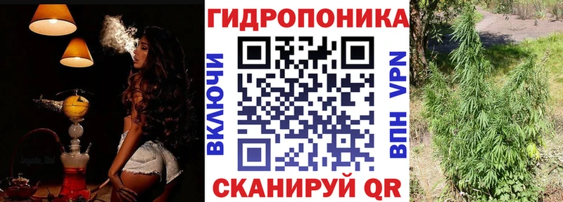 Конопля марихуана Бородино